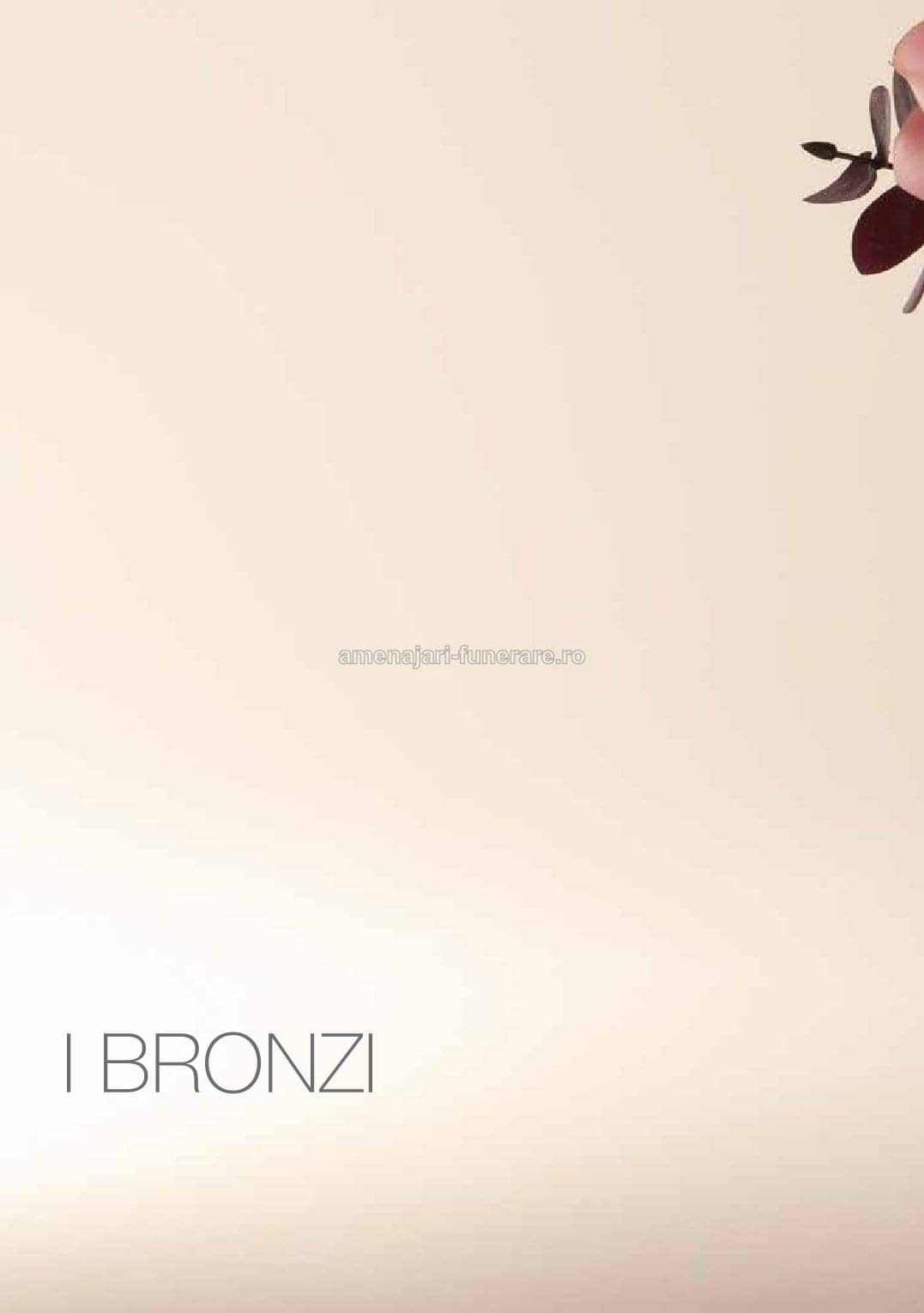 Accesoriu bronz Caggiati cod 0016 - accesoriu bronz Caggiati pentru monument funerar granit la amenajari-funerare.ro