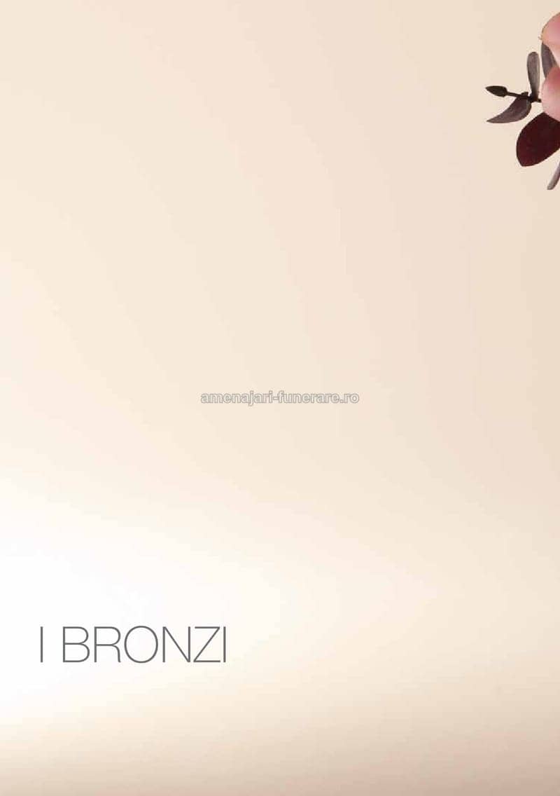 Accesoriu bronz Caggiati cod 0016 - accesoriu bronz Caggiati pentru monument funerar granit la amenajari-funerare.ro