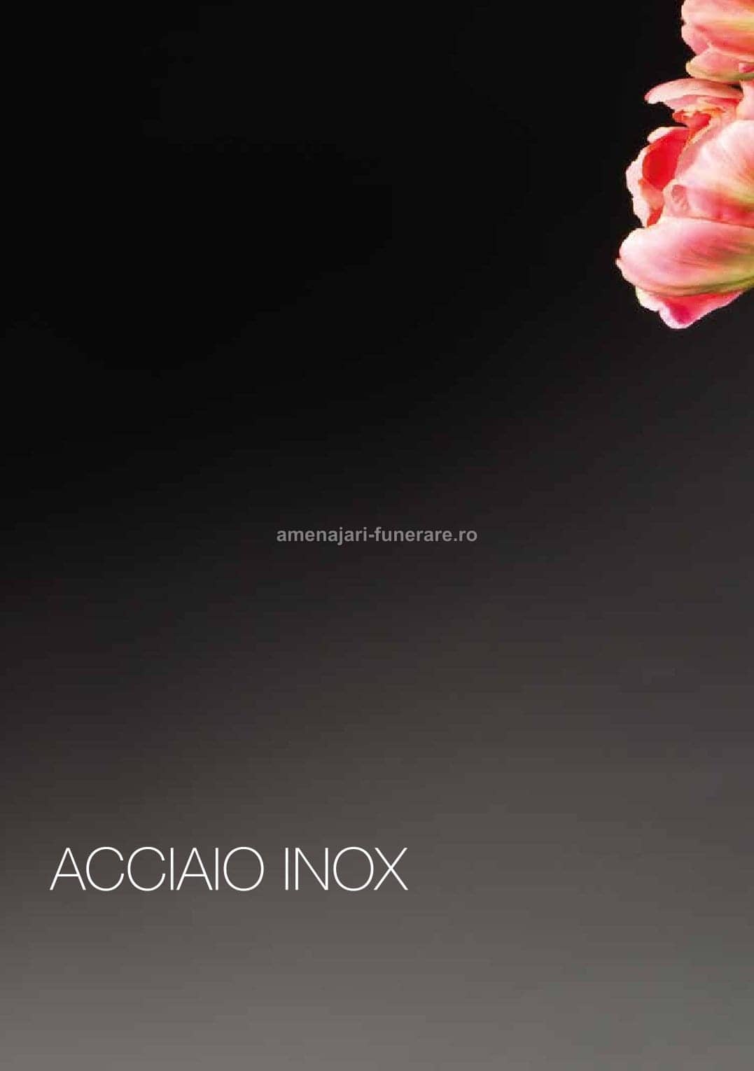 Accesoriu bronz Caggiati cod 0224 - accesoriu bronz Caggiati pentru monument funerar granit la amenajari-funerare.ro
